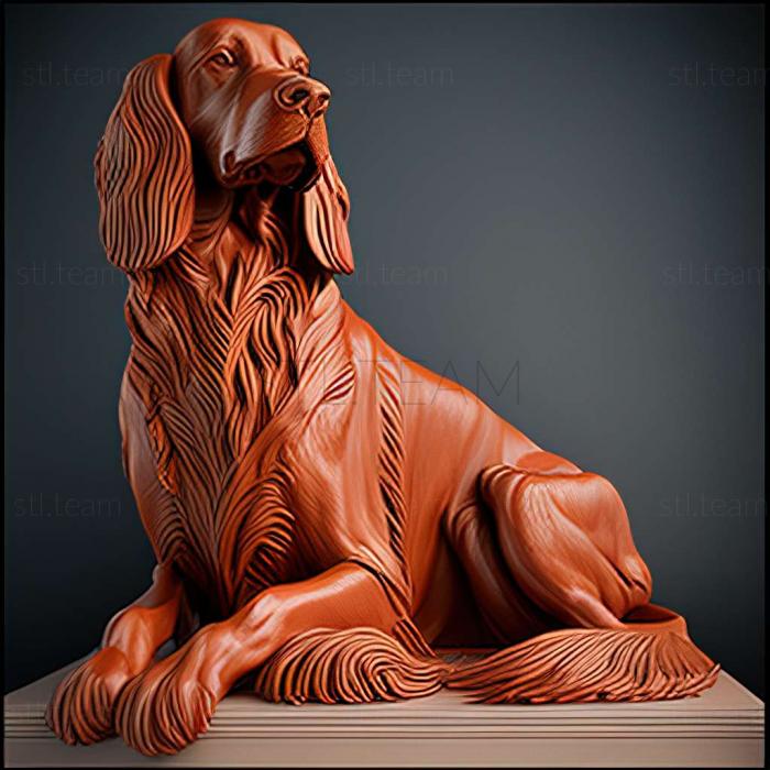 Animals Irish Red Setter dog